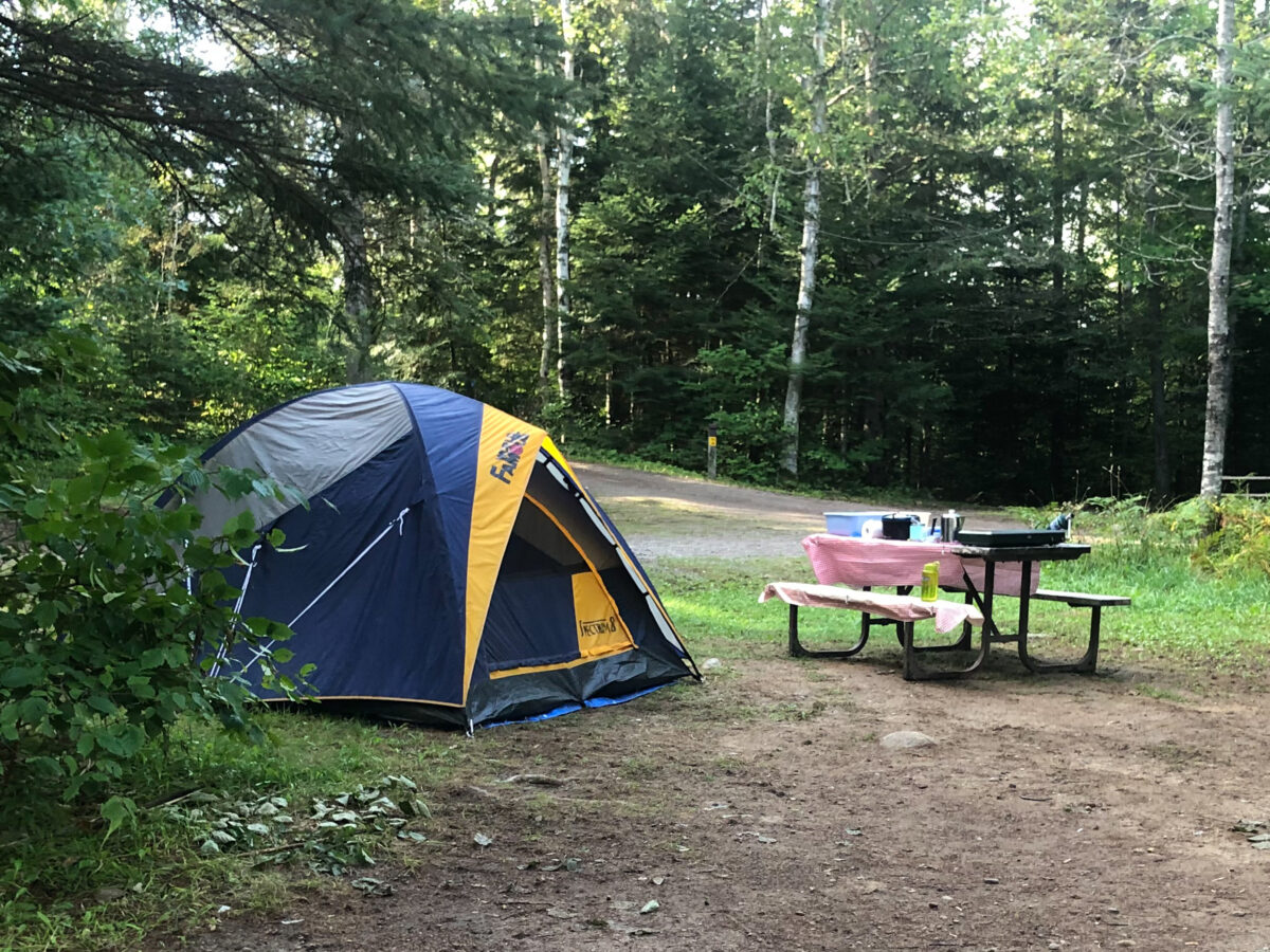 Algonquin Solo Campsite