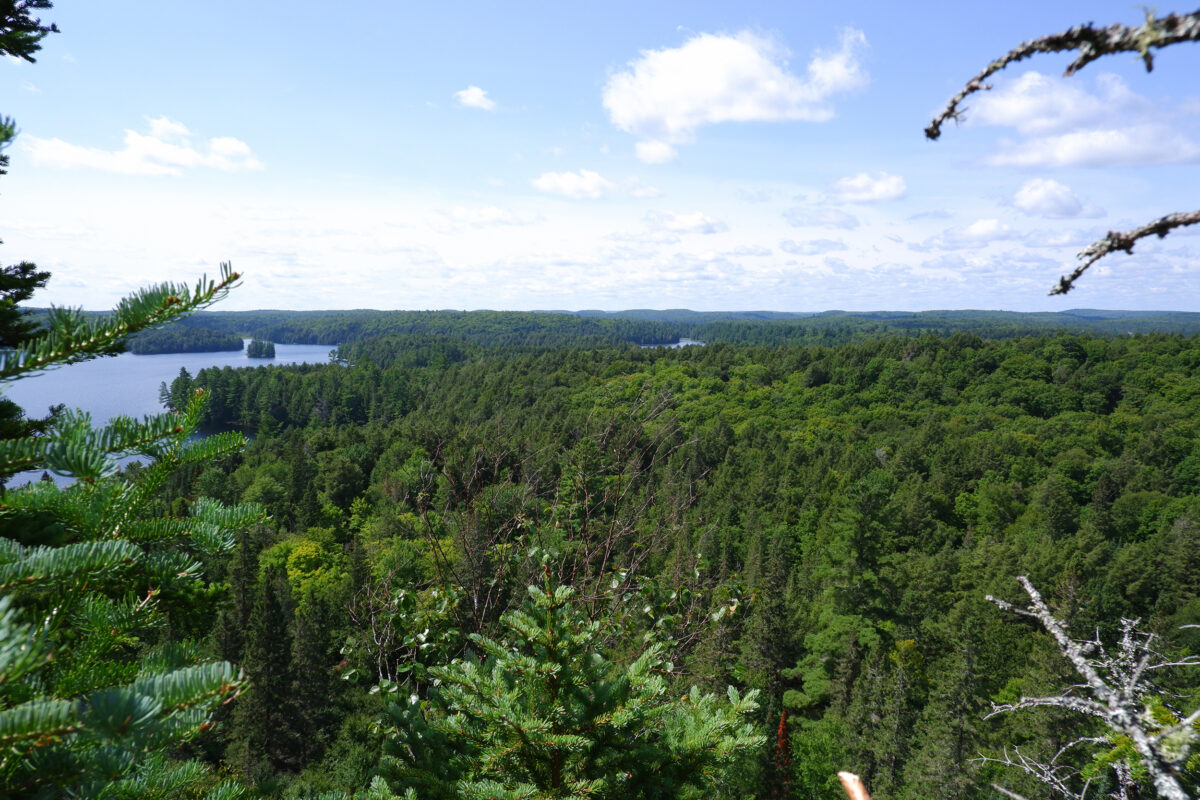 Centennial Ridges Lookout