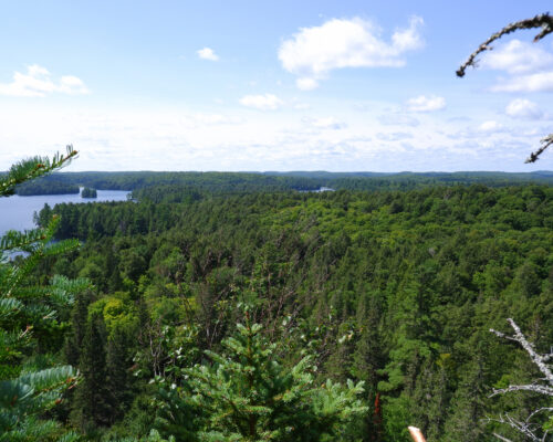 Centennial Ridges Lookout