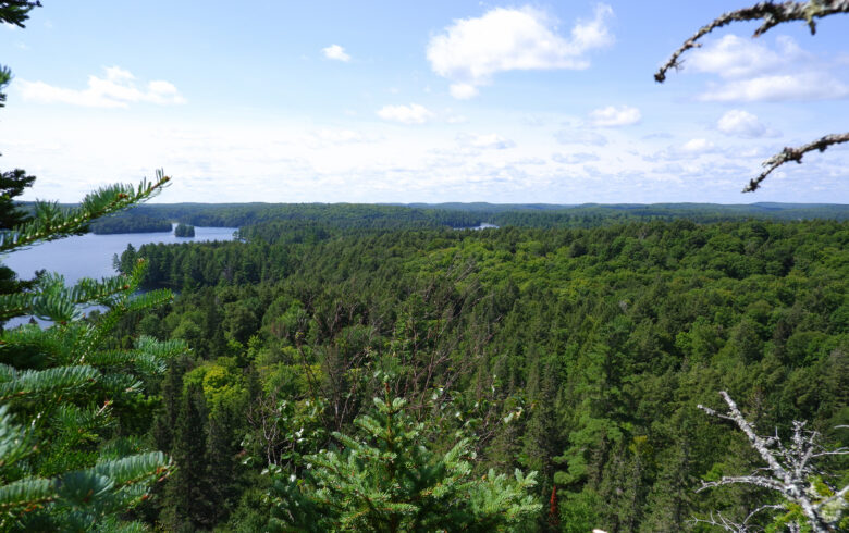 Centennial Ridges Lookout